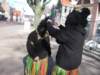 carnaval2011110_small.jpg