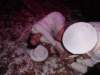 carnaval2014kepkes070_small.jpg
