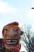 dsc_0976_small.jpg