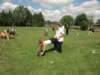 kepkesweekend077_small.jpg