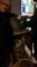 img_7361_small.jpg
